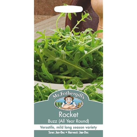 Mr Fothergill's Rocket Buzz Vegetable Seeds Cover