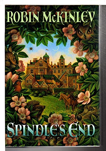 Spindle's End view 2
