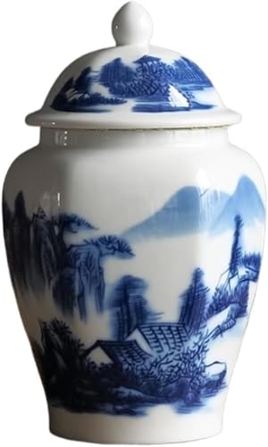 Vase Tabletop Ginger Jar Decorative Modern Ceramic with Lid Porcelain Temple Container Tabletop Decoration(D)