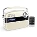 Saregama Carvaan Tamil SC03 Portable Digital Music Player (Porcelain White)