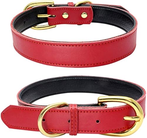 WeTest Collares acolchados de cuero de lujo para gatos, cachorros, perros pequeños y medianos, color rojo WeTest Collares acolchados de cuero de lujo para gatos, cachorros, perros pequeños y medianos, color rojo