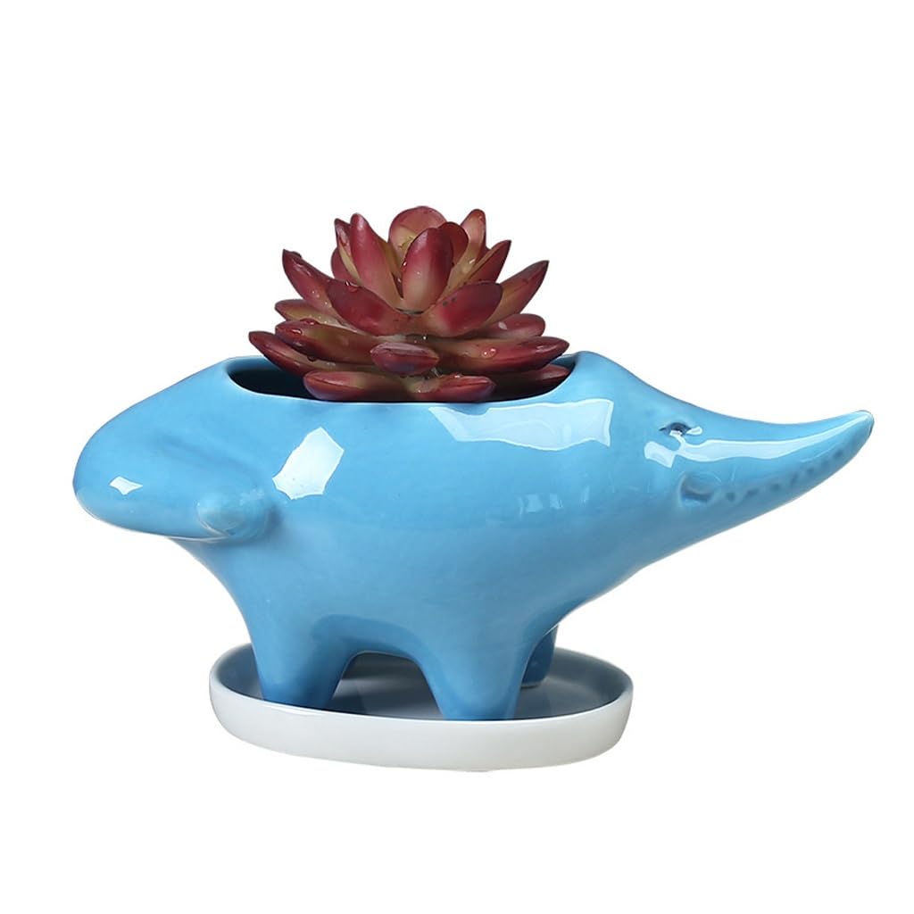 GELASIGE Flower Pots Succulent Flowerpots, Cute Crocodile Ceramic Flowerpots, Balcony Flower Ornaments, Suitable For Gardens Outdoor Flower Pots
