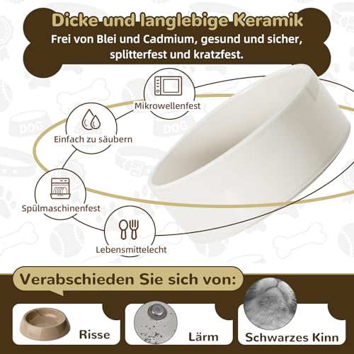 Hundenapf Set Erhöht Hunde Napfset - Doppel Fressnapf Hund Keramik mit Spritzschutz Ständer - Hundenäpfe 2er Set für Futter und Wasser - Futterstation für Kleine Hunde und Katzen - 2 x 300 ml - Weiß