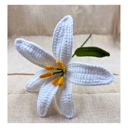 Image of Prapti Handicrafts Handmade Crochet Rose Artificial Forever Flowers for Vase, Home Decoration (3, White Lily)