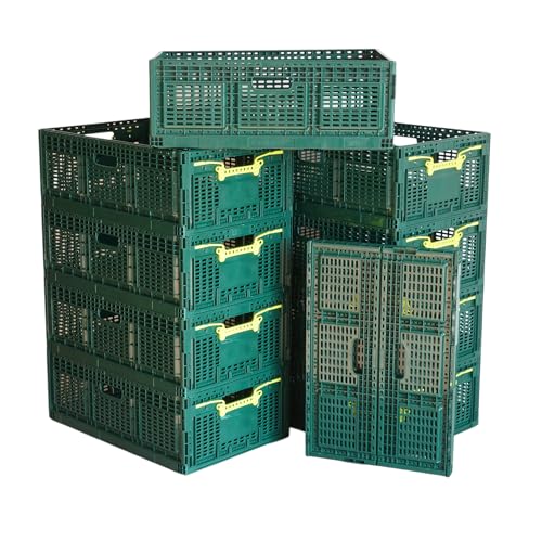 Logiplast 10 x Stabile Klappbox aus Kunststoff 60x40x21,9 cm Gemüsekiste...