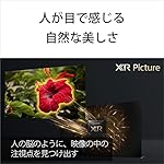 ソニーのテレビ XRJ-55A90J