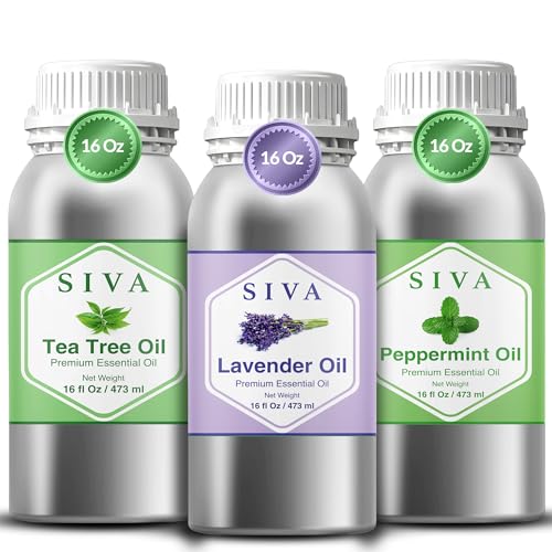 Siva Aceites Esenciales Lavanda, Árbol de té y Menta 16 oz Combo
