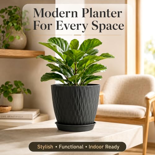 Image of SWAPKART (Pack of 5 6 Inch Plastic Flower Pots for Indoor & Outdoor Terrace,Garden Plants Decorative Planters with Drainage Holes & Matching Saucers Durable & Lightweight (Black)
