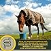 Pferd Aufbaufutter + Amino Booster 6 kg 30ml Pulver Muskelaufbau Pferde Aminosäuren Sojaschrot Protein Pferd | Vitamin E Selen B-Komplex Zink Biotin Muskel Plus Ergänzungsfutter Muskulatur Gewicht