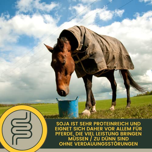 Sojaschrot Pferd - Aufbaufutter Pferd mit Vitamin E Aminosäuren B-Vitamine 6Kg Zusatzfutter Muskelaufbau Soja Protein Pulver für Gewichtszunahme I Weight Gainer Zunehmen bei Untergewicht