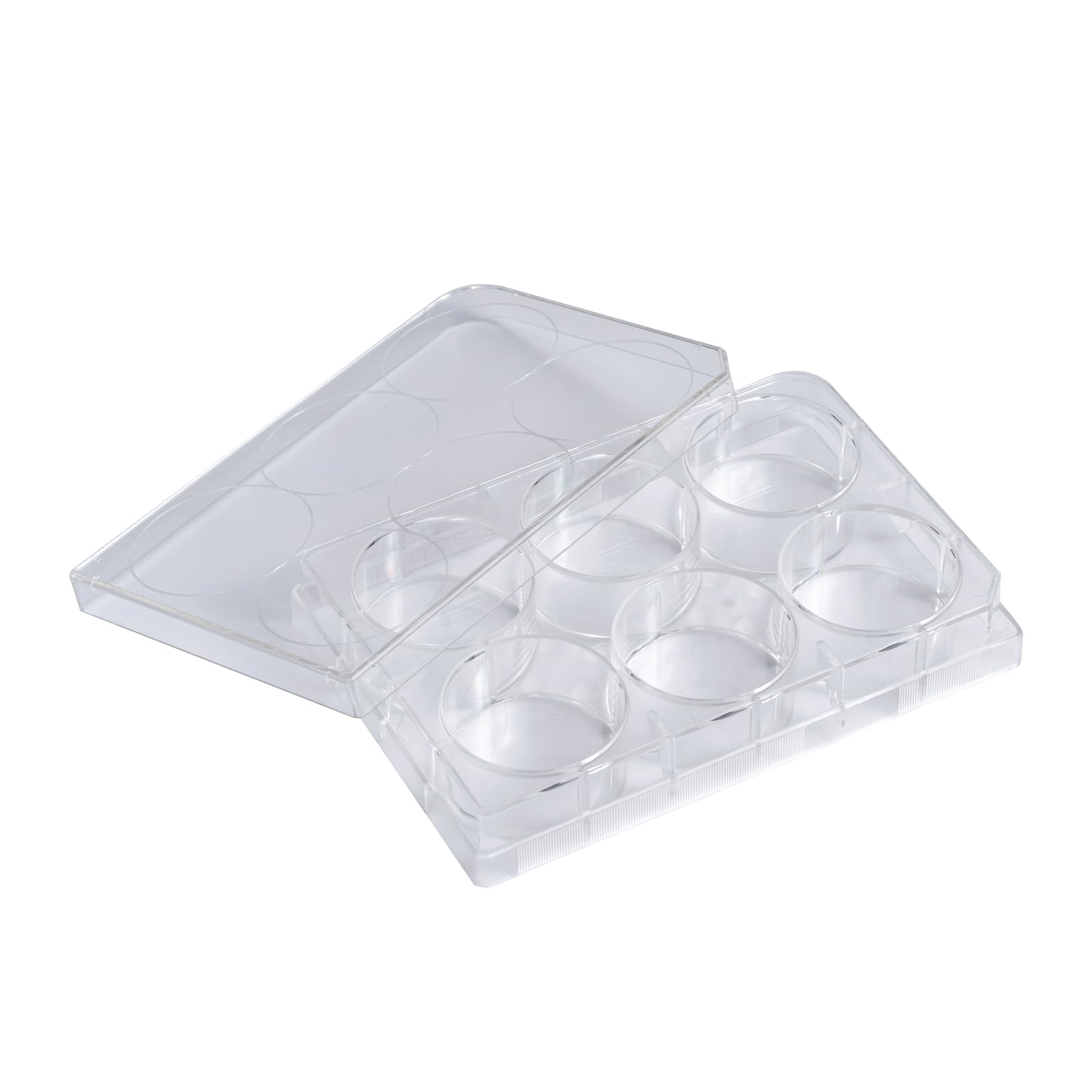50 Stück Zellkulturplatten 6 Löcher, Sterile Kulturplatte, Gewebekulturplatte, Reaktionsplatte, Polystyrol Petrischale für Laborbiologieräume, Transparent, Einzeln Verpackt