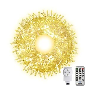 Lichtsnoer voor buiten, 100 m, lange lichtketting met afstandsbediening, 8 modi, voor boom, huis, kamer, tuin (warmwit)