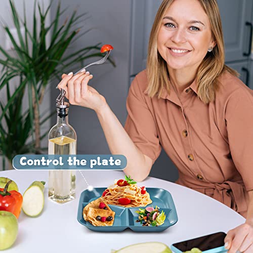 Adult Compartmentalized Dinner Plate Set Of 5 Unbreakable Portion Control Wheat Plastic Dinner Plate (Compartmentalized Plate / Picnic Plate) 10-Inch Beige Square, Reusable, Split Design For Children #TOP5