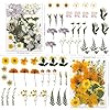 LUXEEASE 110P 4 Color Long Stem Dried Flowers for Crafts, Real Natural Pressed Flowers in Mixed Tones for Resin Art, DIY Crafts, Jewelry & Candle Decor – Tweezers Included #1