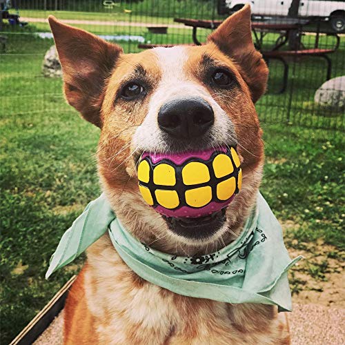 Dawg Grillz Dog Balls Toys Squeaky Fetch - Rubber Funny Ball Gifts For Large Medium Dogs (Variety Pack) #TOP3