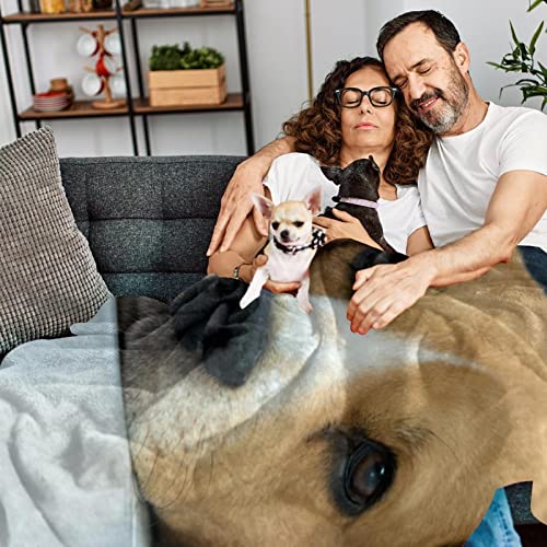 Couverture en peluche Beagle microfibre haut de gamme - 7