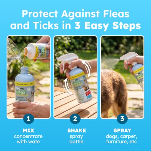 Image of BugMD Flea and Tick Spray for Dogs - Kills & Repels on Contact | Plant-Powered Treatment for Home, Furniture and Carpet - Makes 32 oz | Starter Kit