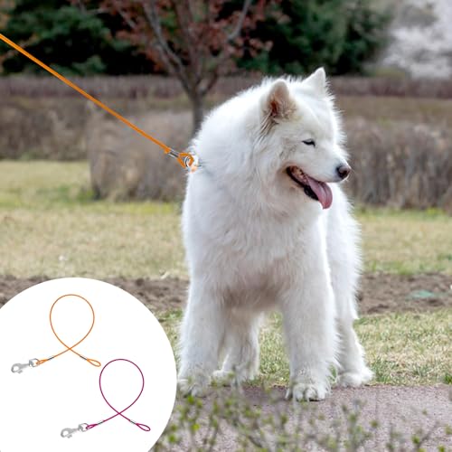 2 Stück Hausleine für Hunde Hundeleine 2 ft Hausleine Hundeleine Leinen für Hunde Kausichere Hundeleinen für mittelgroße und kleine zum Joggen und Spazierengehen(Silber & Schwarz)