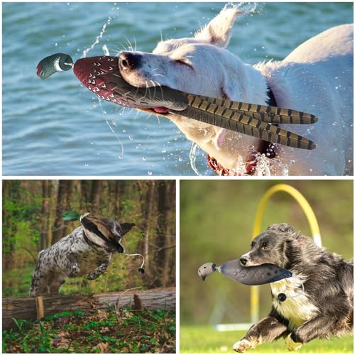 SYWAN Duck Pheasant Dove Dog Training, Dove Dummy for Dog Training Dummy Bumper Retriever Training Floating De-ad Bird Fowl Trainer Hunting Retriever Dog Training Accessories