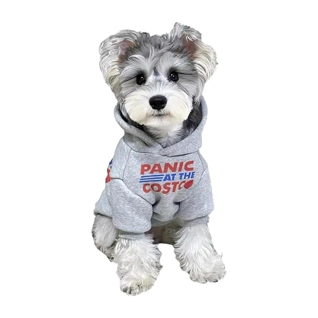 Foto 3 de 5 de Jersey Perro Ropa for Perros Informal for pequeños y Grandes Gatos(M)