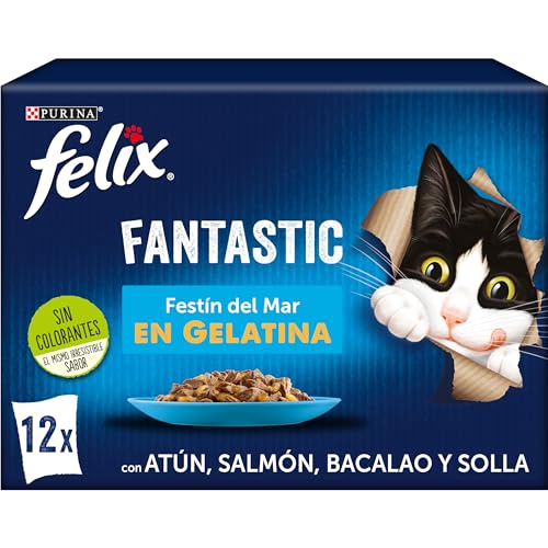 FELIX Fantastic, Comida Húmeda para Gato Adulto, Gelatina, Surtido de Atún, Salmón, Bacalao y Solla, 6 Packs de 12 Sobres de 85 g. (72 Sobres)