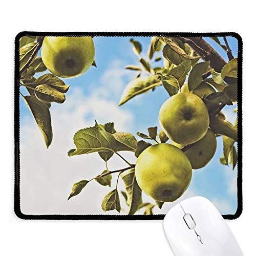 Alfombrilla de ratón de fruta fresca con costura reforzada, el regalo ideal de oficina