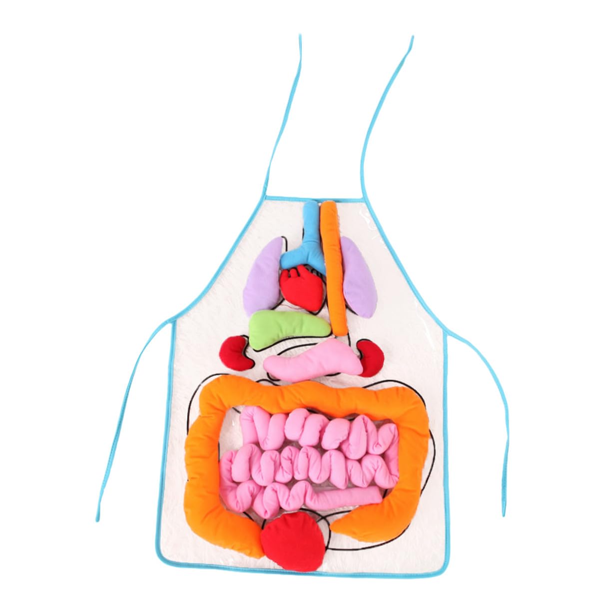 Toyvian Delantal Infantil 3D para Enseñanza de Anatomía Órganos del Cuerpo Humano, Material Didáctico de Plástico y Algodón PP para Educación Preescolar y Jardín de Infancia