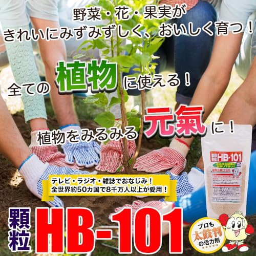 Flora HB-101 Agente Activador Vegetal líquido miniatura 2