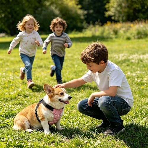 Chaleco refrescante para perros pequeños ropa de gel ajustable para cachorros y paseo 4
