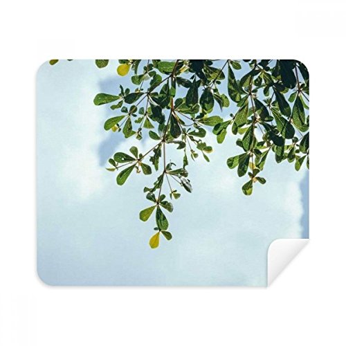 Chiffon de nettoyage en suède feuilles vert bleu pour écrans et lunettes 2pcs