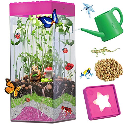 HEIDI & OLAV Terrarium Kit for Girls and Adults Butterfly Gardening Indoor Planting Kit for Kids Adults Pink Nature Crafts Mini Vegetable Garden Microgreen Life Science Kit Gifts with Light