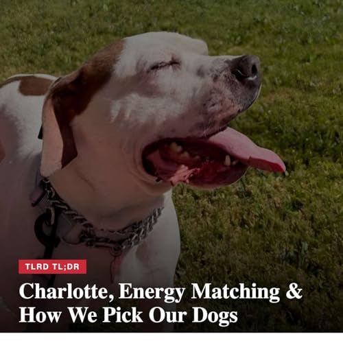 TLRD TL;DR: Charlotte, Energy Matching & How We Pick Our Dogs