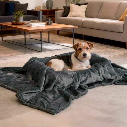 Dogat wasserdichte Hundedecke waschbar 100x80cm beidseitig verwendbare Haustierdecke für kleine und mittelgroße Hunde und Katzen Sofabezug und Bettschutz weiche Sherpa-Fleece- und Flanelldecke grau