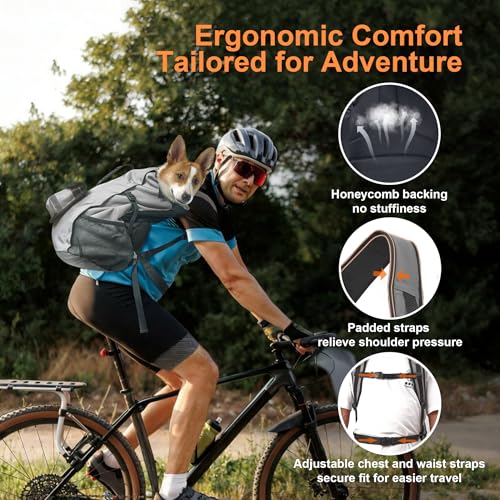 Dog Backpack Carrier, Ergonomic Pet Travel Bag, Suitable for Medium and Large Dogs, Built-in Leash and Adjustable Buckle, Ideal for Hiking and Cycling, M - Image 4