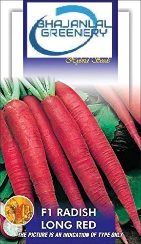 BHAJANLAL GREENERYSeeds Corrot Imported Red-Gajar Seeds Vegetable seeds Kitchen Garden Packet (CARROT SEEDS)
