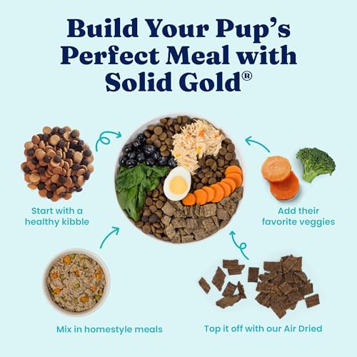 Image of Solid Gold Chicken & Bone Broth Wet Dog Food Topper & Meal, Adult Dogs, 6ct