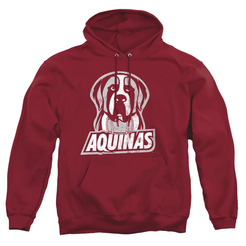 LOGOVISION Official Collegiate Distressed Primary Logo Adult Pullover Hoodie Collection — view 440