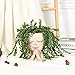 ZJ Whoest Cute Succulent Planter - Face Planter Flower Pot - Kawaii Head Planters -Unique Outdoor Indoor Planter - with Drainage Hole - (Doll Blessing)