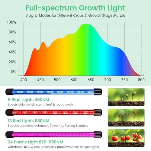 Likaney 2 Pack 80 Cells Seed Starter Tray with Grow Light & Heat Mat, Plant Seed Starter Kit with Humidity Domes, Automatic Timer, and Adjustable Brightness for Indoor Greenhouse Gardening - Image 5