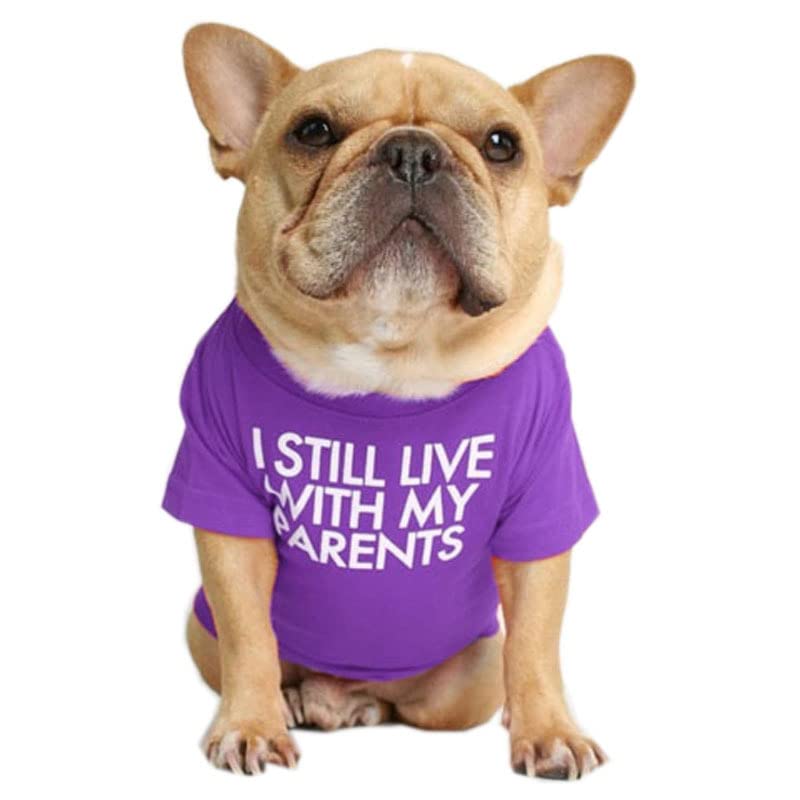 KUTKUT Pet Dog Breathable Stretchy Round Neck T-Shirt I Still Live with My Parents Pet Dogs Cats Dog Cooling Vest T-Shirts Soft Cotton Clothes| French Bulldog Dog Shirt (Size: 2XL, Chest: 58cm) (B09VDRGZCW) Amazon Price History, Amazon Price Tracker