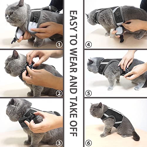 Arnes Gato Anti-Escape, Ajustable Arnés para Gato, Tiras Reflectantes de Borde Completo Que Brindan Protección para Gatos Que Caminan de Noche(M, Gris)