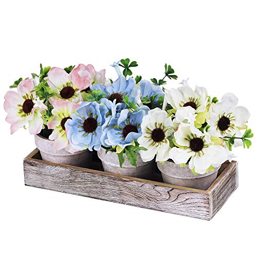 Set of 3 Artificial Poppy Flower Plants in Pots Blue White Pink Silk