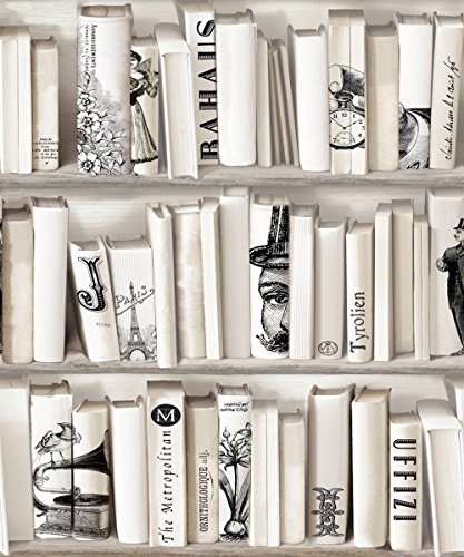 DICTONARY X 10 ROULEAUX DE PaPIER PEINT BIBLIOTHÈQUE