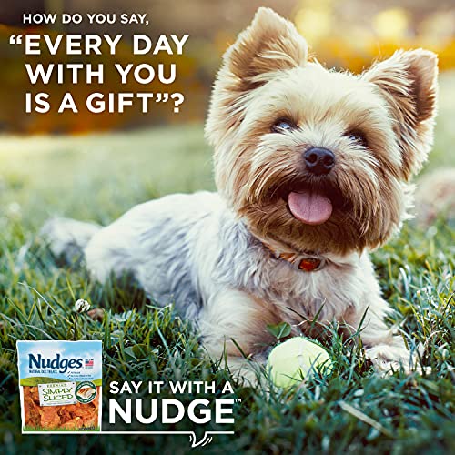 Nudges Natural Dog Treats Simply Sliced Made with Chicken Breast, 12 oz - Image 7