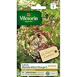 Batavia Rubia lechuga con borde rojo 5