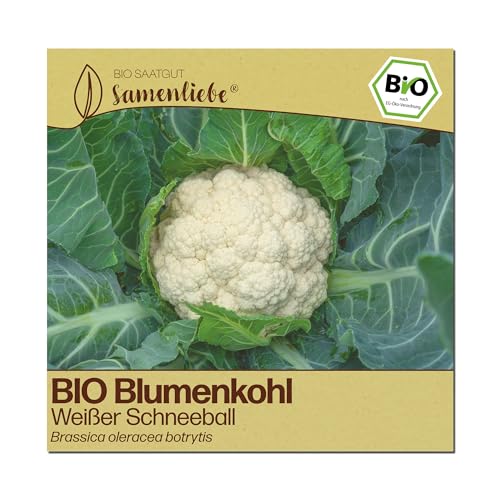 Samenliebe BIO Blumenkohl Samen | Weißer Schneeball - weiß & groß - samenfestes BIO Saatgut