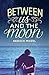 Between Us and the Moon