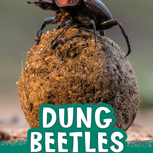 Dung Beetles by Martha E. H. Rustad episode artwork