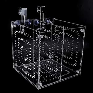 Acryl materiaal, aquarium kweekbak, voor garnalen(20MC *20CM*20CM)