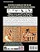 EGYPTIAN BOOK OF THE DEAD HIEROGLYPH TRANSLATIONS USING THE TRILINEAR METHOD Volume 4: Understanding the Mystic Path to Enlightenment Through Direct ... Language With Trilinear Deciphering Method